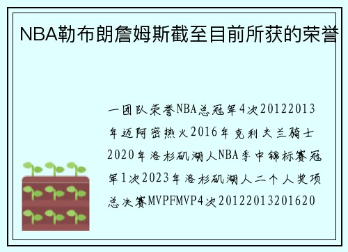 NBA勒布朗詹姆斯截至目前所获的荣誉